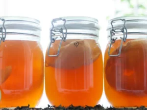 Penelitian Mengungkap Manfaat Kombucha Seperti Efek Puasa