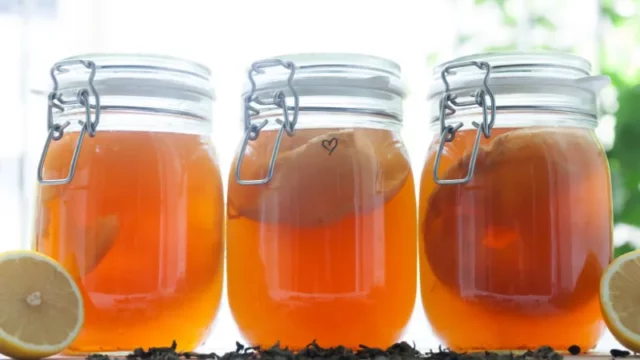 Penelitian Mengungkap Manfaat Kombucha Seperti Efek Puasa