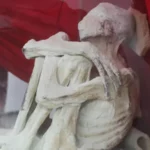 Seorang Petani di Peru Menemukan Gua Makam Alien: Ada Mumi Berkepala Lonjong dan Cuma Punya 3