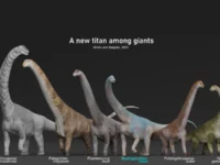 Mengungkap Kehebatan Bustingorrytitan shiva, Dinosaurus Raksasa 'Sang Penghancur'