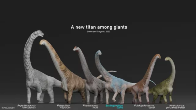 Mengungkap Kehebatan Bustingorrytitan shiva, Dinosaurus Raksasa