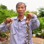 Pria dengan Kuku Sepanjang 1 Meter, Bergantung pada Istri untuk Aktivitas Sehari-hari