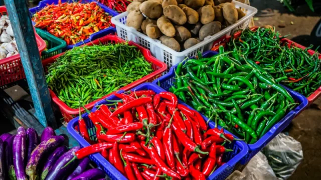 Harga Cabai Merah dan Komoditas Pangan Alami Penurunan di Padang Panjang