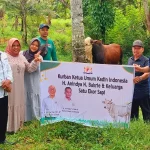 Ketua Umum Kadin Indonesia Anindya Bakrie Berkurban Seekor Sapi di Sumbar