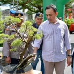 Pemerintah Kabupaten Agam menggelar kontes batu akik, aquascape, dan bonsai yang berlangsung meriah di GOR Rang Agam, Sabtu (19/7/2025) (Foto: Ist)