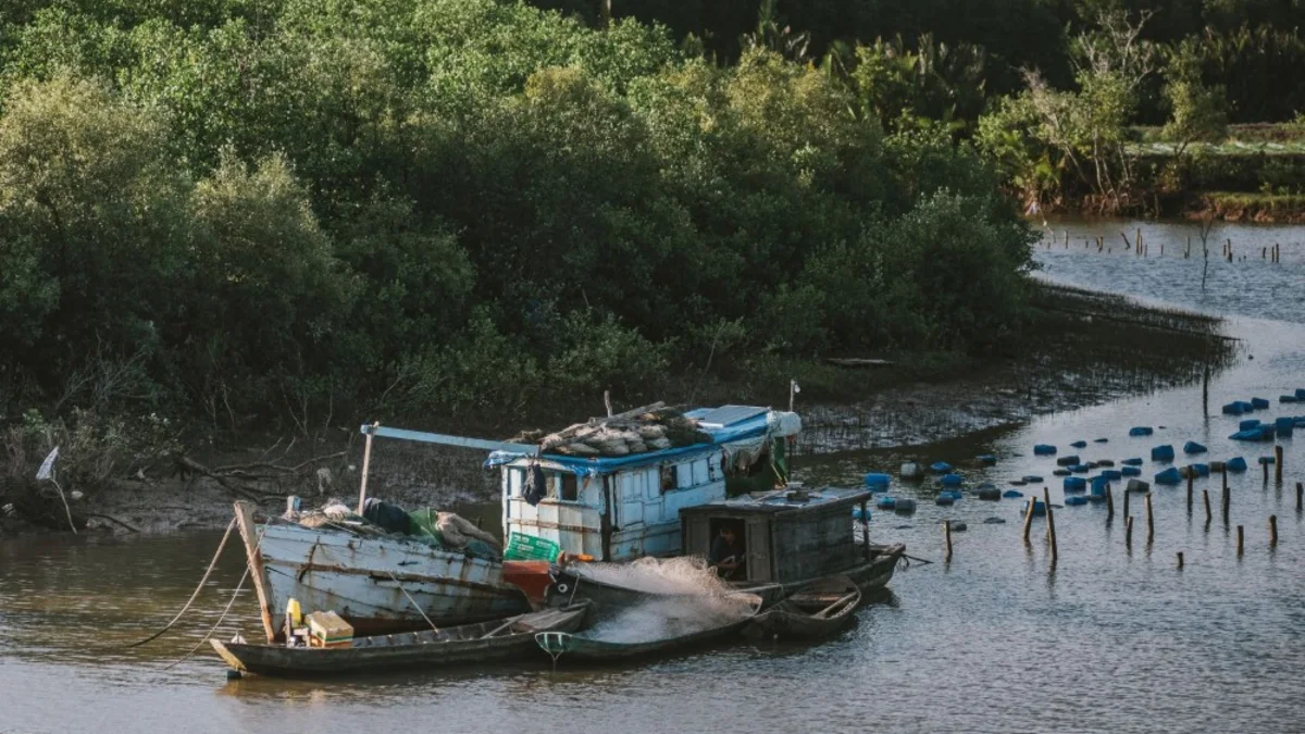 Sebuah perahu kayu tertambat di tepi hutan bakau