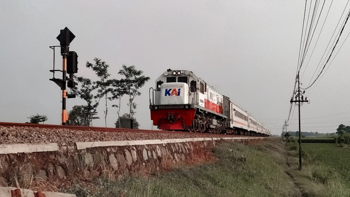 Rangkaian kereta api melintas di antara petak sawah