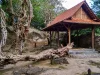 Bangunan cungkup beratap sirap berdiri di tengah pepohonan tua di kompleks Makam Ratu Mas Malang
