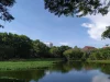 Danau dan pepohonan di lingkungan kampus Universitas Hasanuddin, Makassar