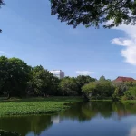 Danau dan pepohonan di lingkungan kampus Universitas Hasanuddin, Makassar