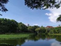 Danau dan pepohonan di lingkungan kampus Universitas Hasanuddin, Makassar