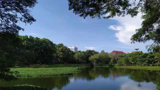 Danau dan pepohonan di lingkungan kampus Universitas Hasanuddin, Makassar