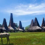 Rumah beratap menara tinggi di sebuah kampung adat di Sumba