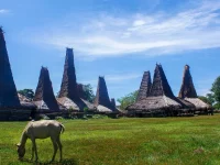 Rumah beratap menara tinggi di sebuah kampung adat di Sumba