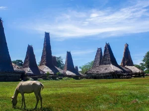 Rumah beratap menara tinggi di sebuah kampung adat di Sumba