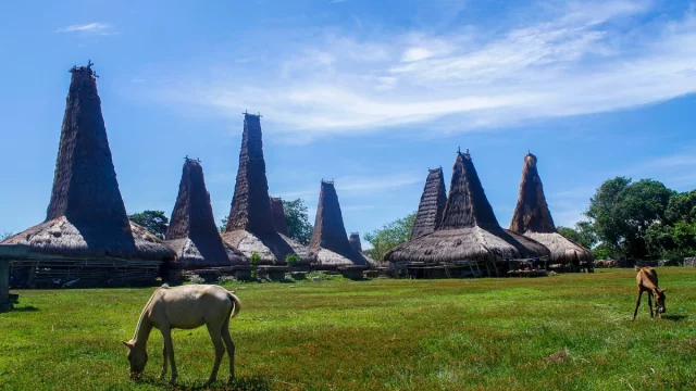 Rumah beratap menara tinggi di sebuah kampung adat di Sumba