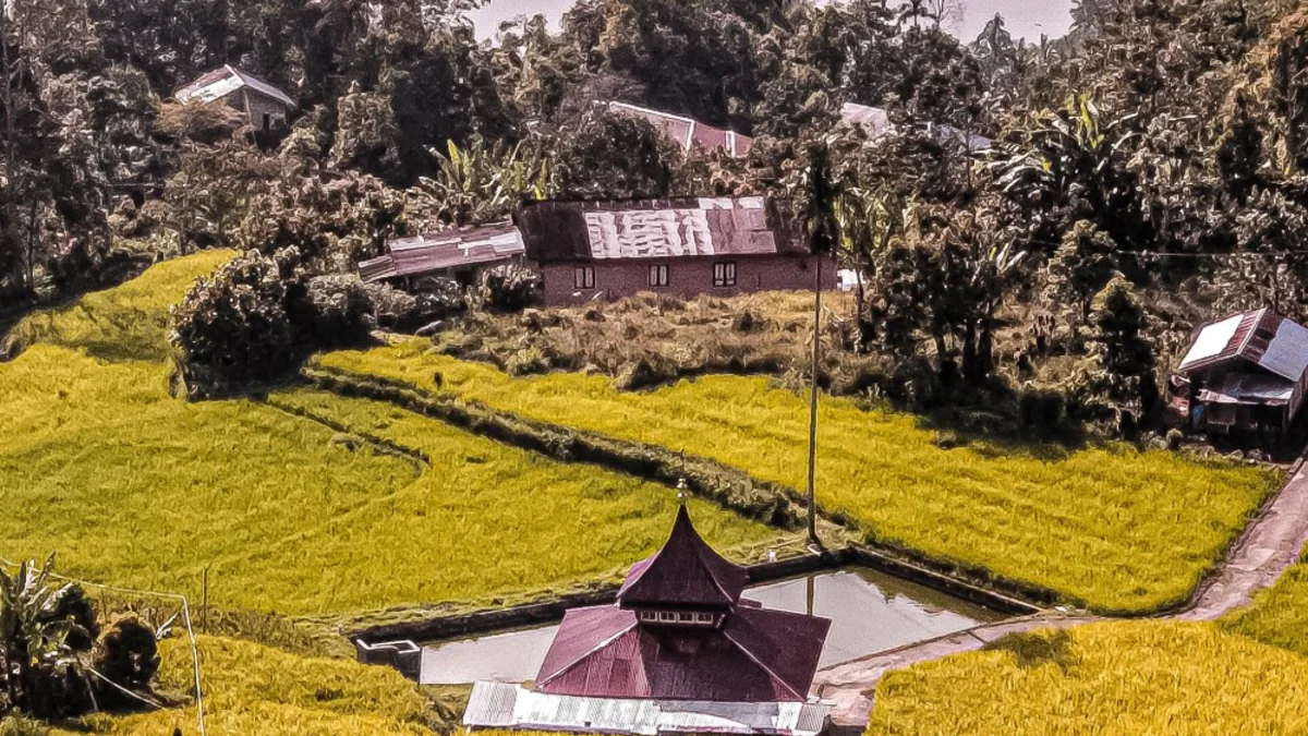 Kubah mushalla berdiri di tengah hamparan pematang sawah