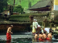 Kolam pancuran Pura Tirta Empul dengan deretan patirtan batu