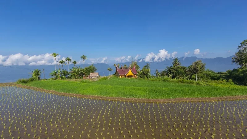 Hamparan sawah dengan bangunan beratap gonjong dan perbukitan di latar belakang, Kabupaten Agam