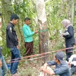 Tim riset mahasiswa Universitas Negeri Padang mengukur vegetasi hutan nagari di Sijunjung