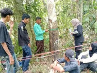 Tim riset mahasiswa Universitas Negeri Padang mengukur vegetasi hutan nagari di Sijunjung