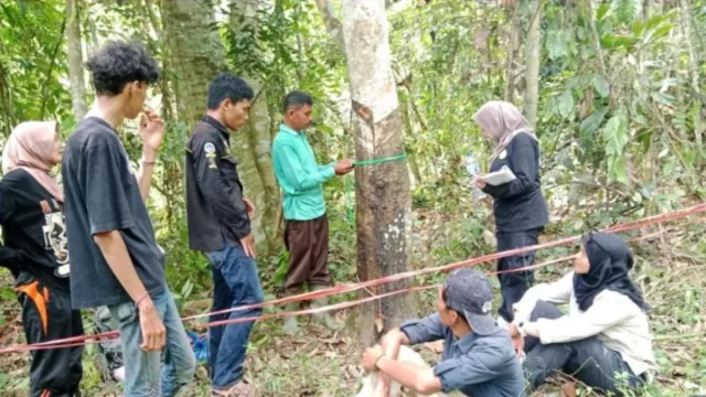 Tim riset mahasiswa Universitas Negeri Padang mengukur vegetasi hutan nagari di Sijunjung