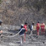 Petugas melakukan pendinginan area bekas kebakaran di kawasan Taman Nasional Bromo Tengger Semeru.