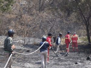 Petugas melakukan pendinginan area bekas kebakaran di kawasan Taman Nasional Bromo Tengger Semeru.