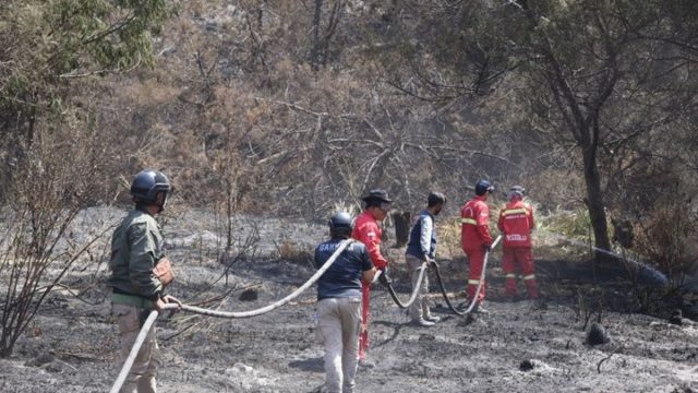 Petugas melakukan pendinginan area bekas kebakaran di kawasan Taman Nasional Bromo Tengger Semeru.