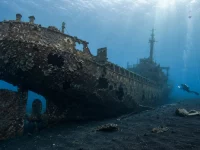 Ilustrasi bangkai kapal besi tua tergeletak di dasar laut berpasir gelap dengan lambung tertutup terumbu karang, lubang-lubang robekan pada dinding, kemudi dan baling-baling di buritan, serta seorang penyelam di kejauhan