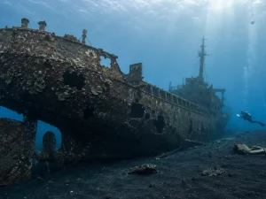 Ilustrasi bangkai kapal besi tua tergeletak di dasar laut berpasir gelap dengan lambung tertutup terumbu karang, lubang-lubang robekan pada dinding, kemudi dan baling-baling di buritan, serta seorang penyelam di kejauhan