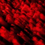 Kerumunan penonton konser tersorot cahaya panggung berwarna merah pekat