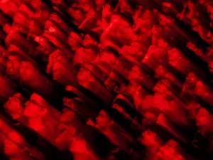 Kerumunan penonton konser tersorot cahaya panggung berwarna merah pekat