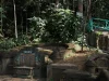 Makam Tionghoa di Gunung Tidar, Magelang
