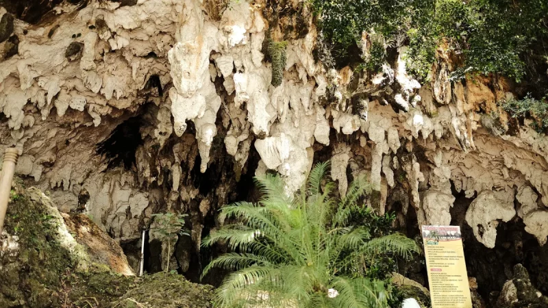 Gua Tabuhan di Pacitan