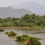 Sungai Brantas di Kediri.