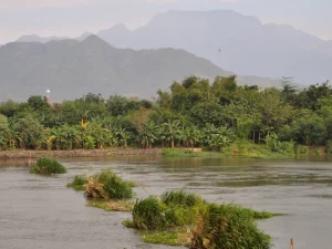 Sungai Brantas di Kediri.