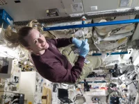 Astronaut NASA Kate Rubins mengumpulkan sampel mikroba di stasiun luar angkasa