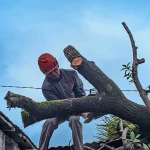 Personel BPBD Kota Padang mengevakuasi pohon tumbang akibat cuaca ekstrem