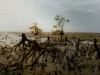 Akar napas mangrove mencuat dari lumpur saat air laut surut.