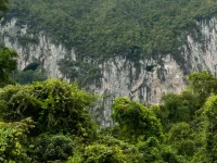 Tebing karst batu kapur dengan mulut-mulut gua menjulang di atas hutan hujan tropis Kalimantan