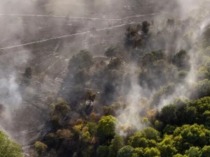 Pandangan udara asap membubung dari lahan yang terbakar di dekat Dunwich Heath, Suffolk