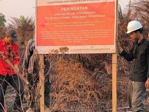 Petugas Kementerian Kehutanan memeriksa papan peringatan larangan membakar lahan di areal perusahaan kehutanan di Kalima