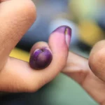Jari seorang pemilih yang telah dicelup tinta ungu seusai mencoblos dalam pemilihan umum di Indonesia