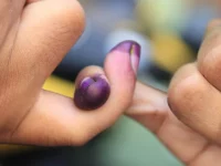 Jari seorang pemilih yang telah dicelup tinta ungu seusai mencoblos dalam pemilihan umum di Indonesia