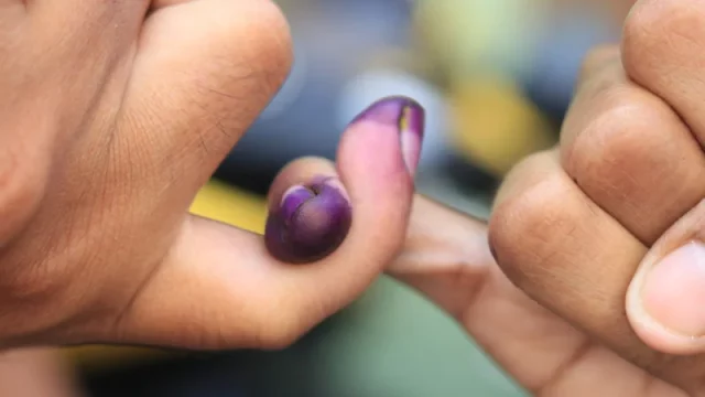 Jari seorang pemilih yang telah dicelup tinta ungu seusai mencoblos dalam pemilihan umum di Indonesia