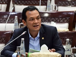 Anggota Komisi XI DPR RI Martin Manurung memberikan keterangan dalam rapat