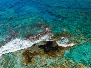 Garis pantai tropis dilihat dari udara
