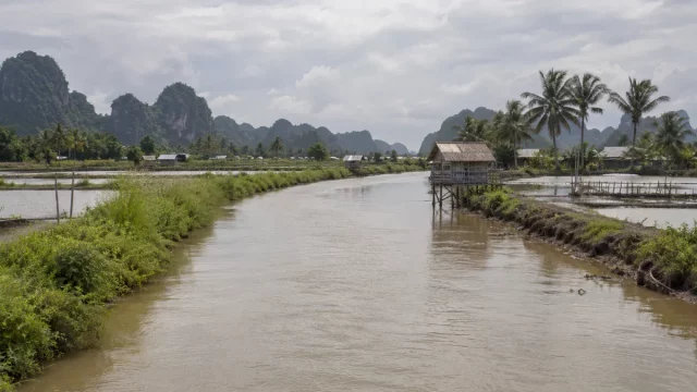Sungai keruh di dataran rendah yang diapit tambak air payau dan perbukitan karst.