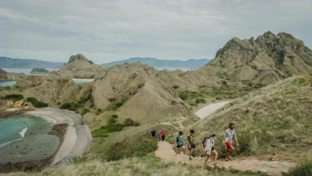 Wisatawan di kawasan Taman Nasional Komodo